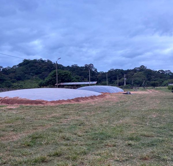 Vista de silos de forraje protegidos con mantas agrícolas multicapa a la intemperie - Geoland